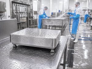 Washdown Scale Timbangan untuk Area yang Rutin Dicuci dan Disanitasi